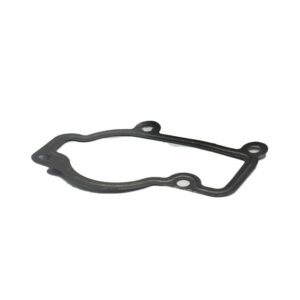 Thermostat Housing Gasket 106 06.3